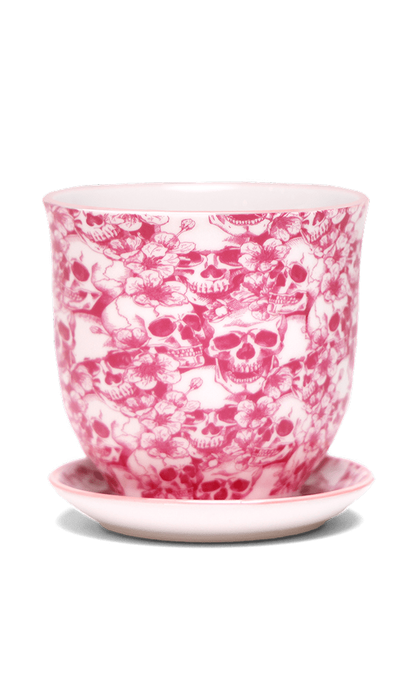 Liberte Porcelain 4.25" Pot And Saucer - Chive Ceramics Studio - Pots - Chive Ceramics Studio