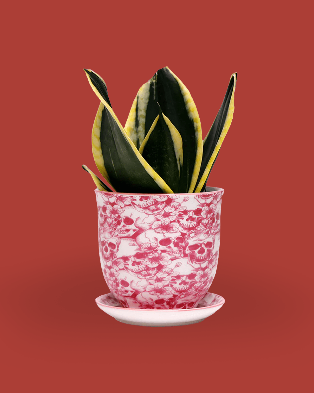 Liberte Porcelain Pot And Saucer 3.25" - Chive Ceramics Studio - Pots - Chive Ceramics Studio