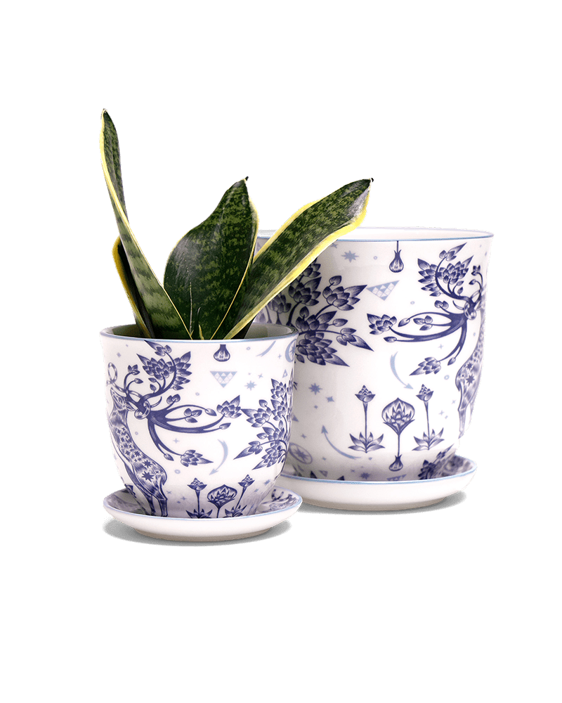 Liberte 5 Porcelain Pot And Saucer With Drainage - Chive Ceramics Studio - Pots - Chive Ceramics Studio