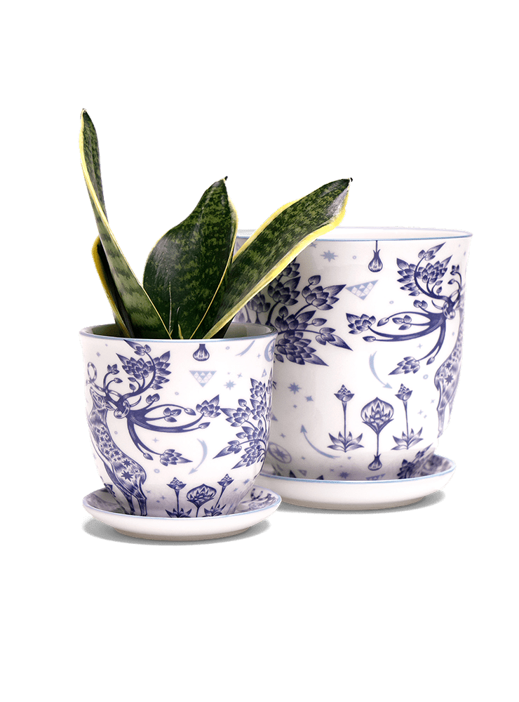 Liberte 5 Porcelain Pot And Saucer With Drainage - Chive Ceramics Studio - Pots - Chive Ceramics Studio