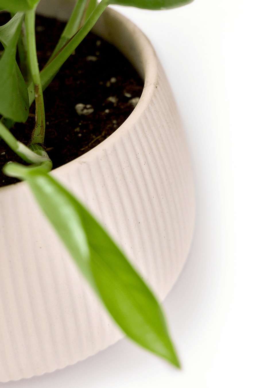 Lilo Porcelain Modern Indoor Plant Pot - Chive Ceramics Studio - Pots - Chive US