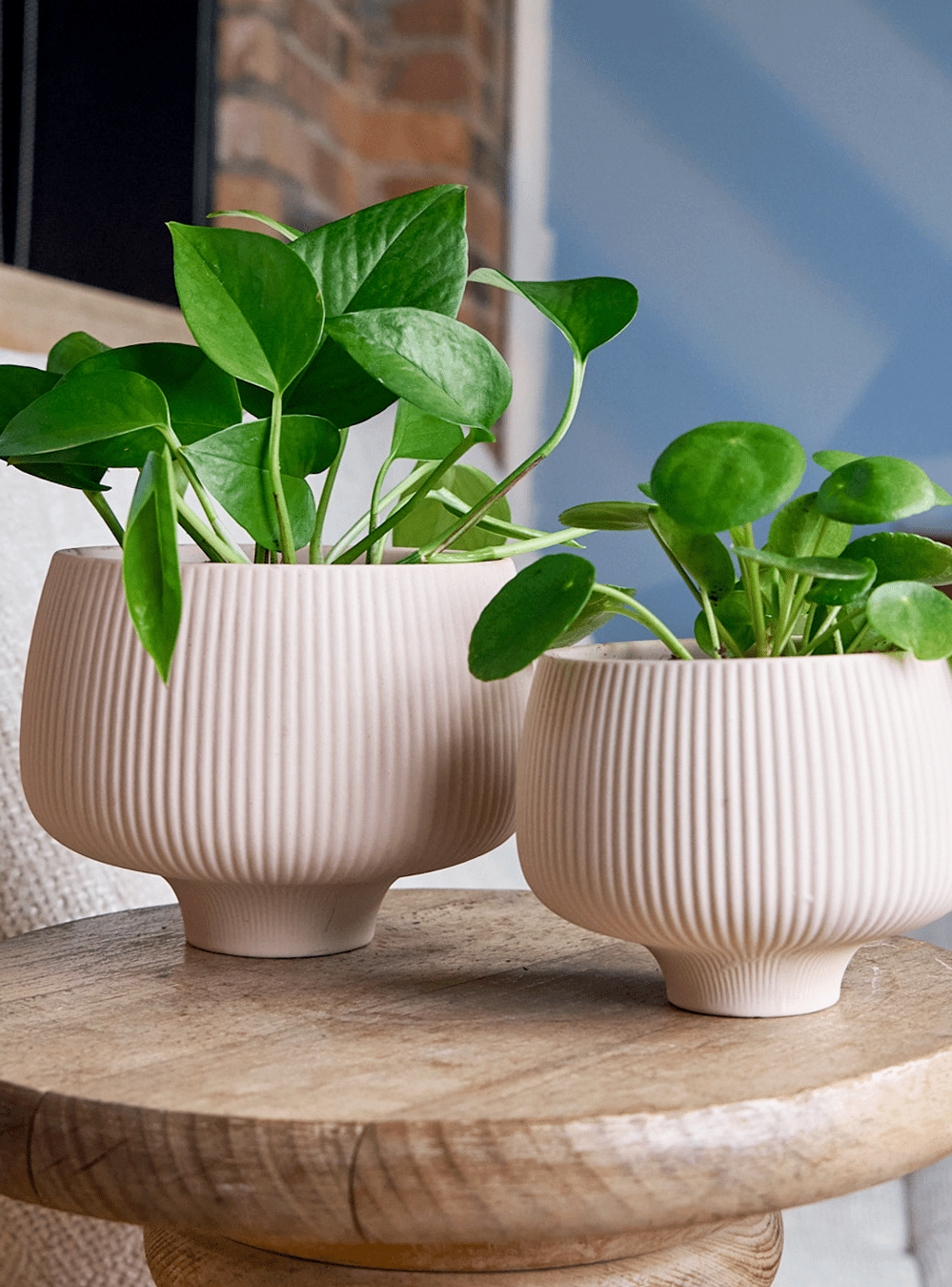 Lilo Porcelain Modern Indoor Plant Pot - Chive Ceramics Studio - Pots - Chive US