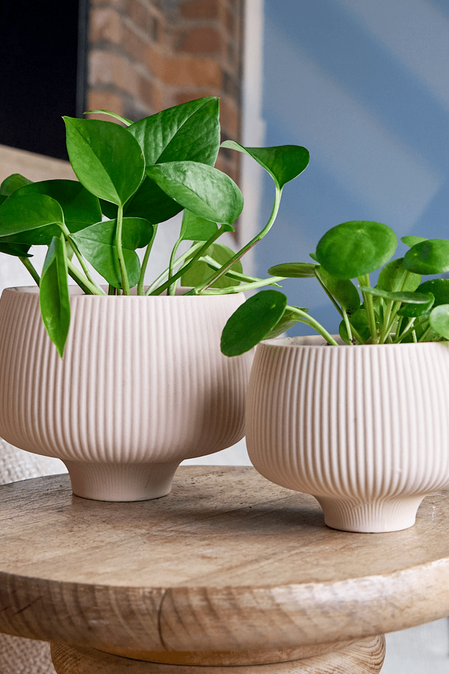 Lilo Porcelain Modern Indoor Plant Pot - Chive Ceramics Studio - Pots - Chive US