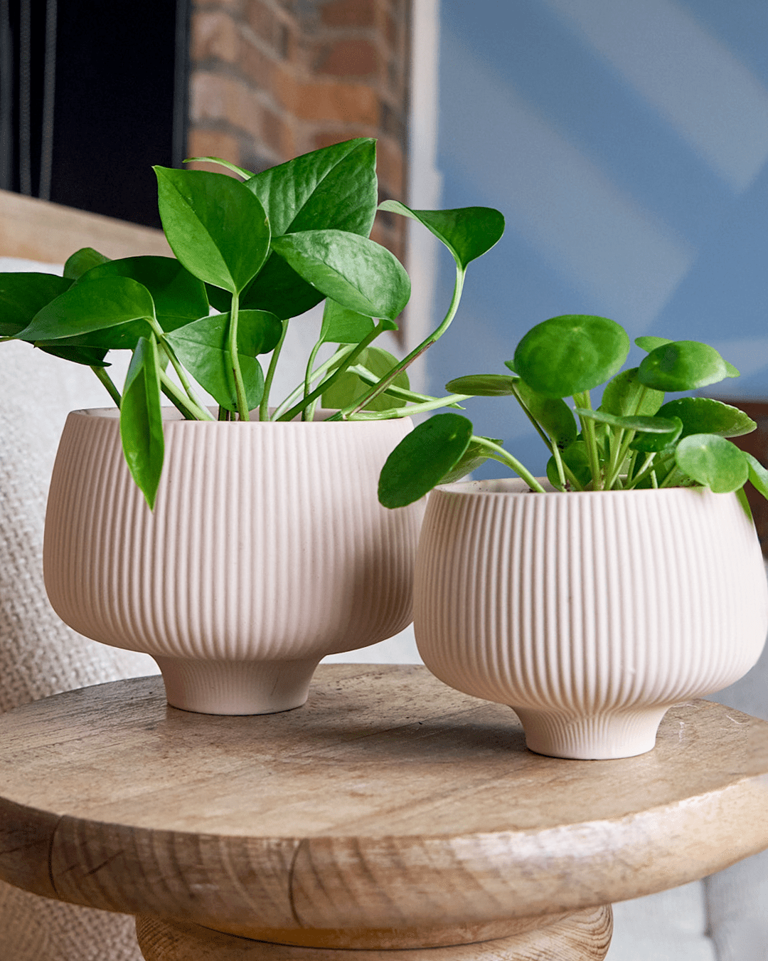 Lilo Porcelain Modern Indoor Plant Pot - Chive Ceramics Studio - Pots - Chive US