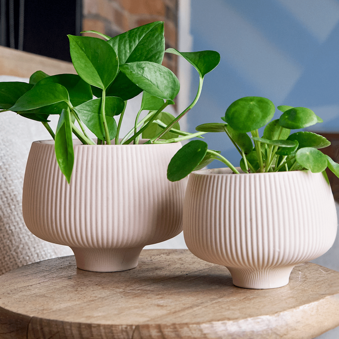 Lilo Porcelain Modern Indoor Plant Pot - Chive Ceramics Studio - Pots - Chive US