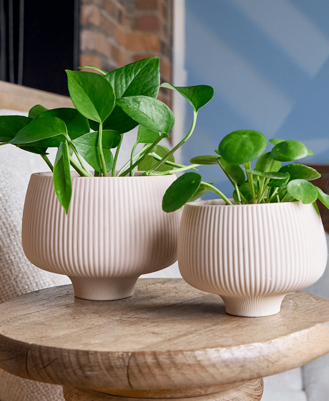 Lilo Porcelain Modern Indoor Plant Pot - Chive Ceramics Studio - Pots - Chive US
