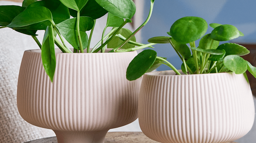 Lilo Porcelain Modern Indoor Plant Pot - Chive Ceramics Studio - Pots - Chive US