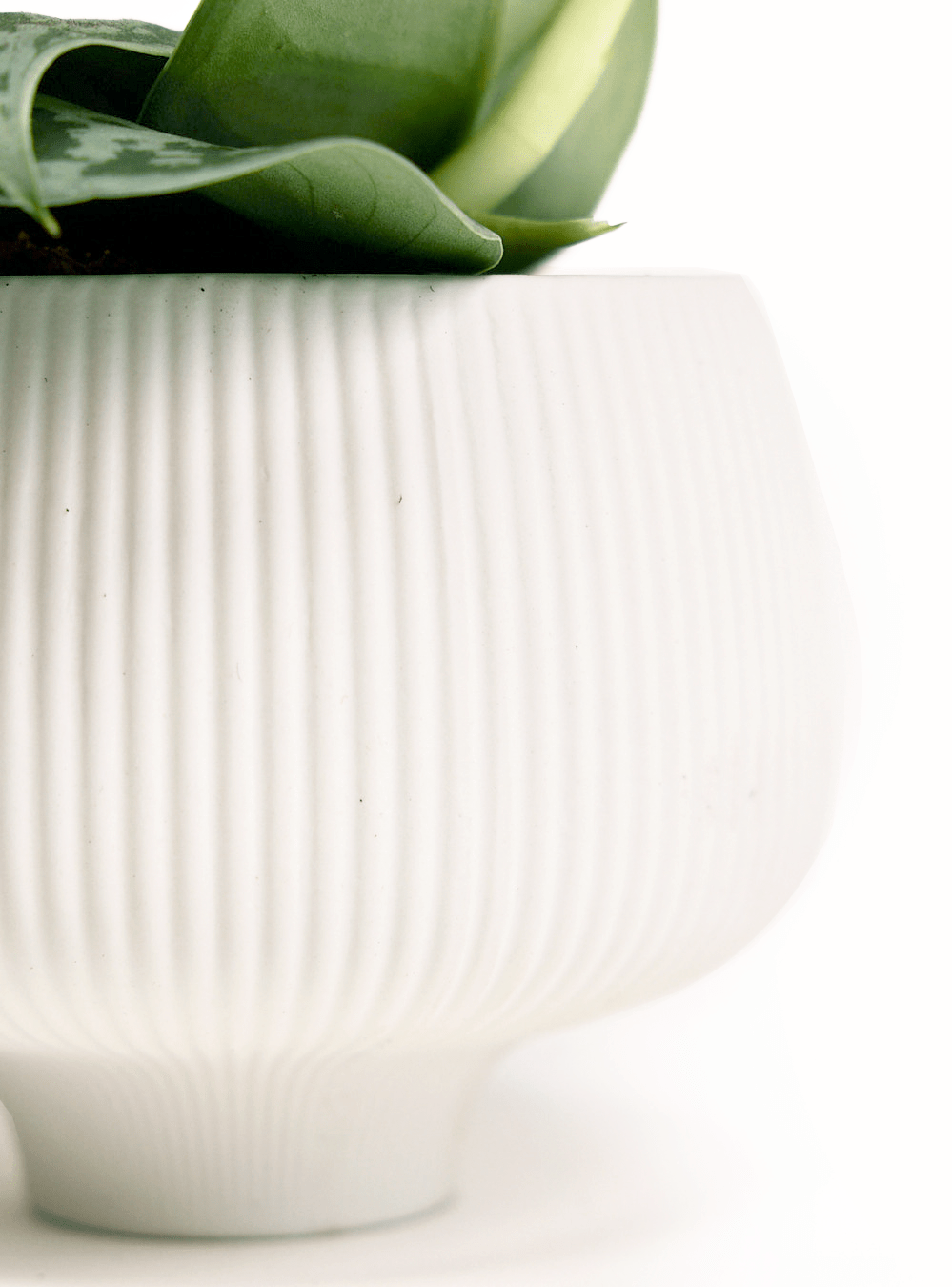 Lilo Porcelain Modern Indoor Plant Pot - Chive Ceramics Studio - Pots - Chive US