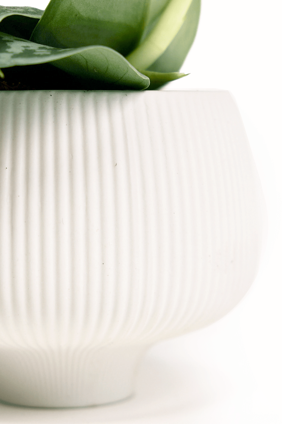 Lilo Porcelain Modern Indoor Plant Pot - Chive Ceramics Studio - Pots - Chive US