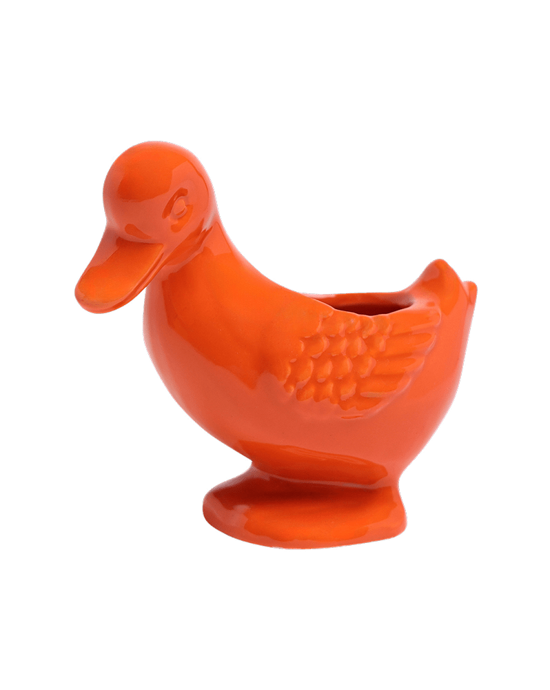Duck Ceramic Indoor Plant Pot For Succulents - Chive Ceramics Studio - Pots - Chive US