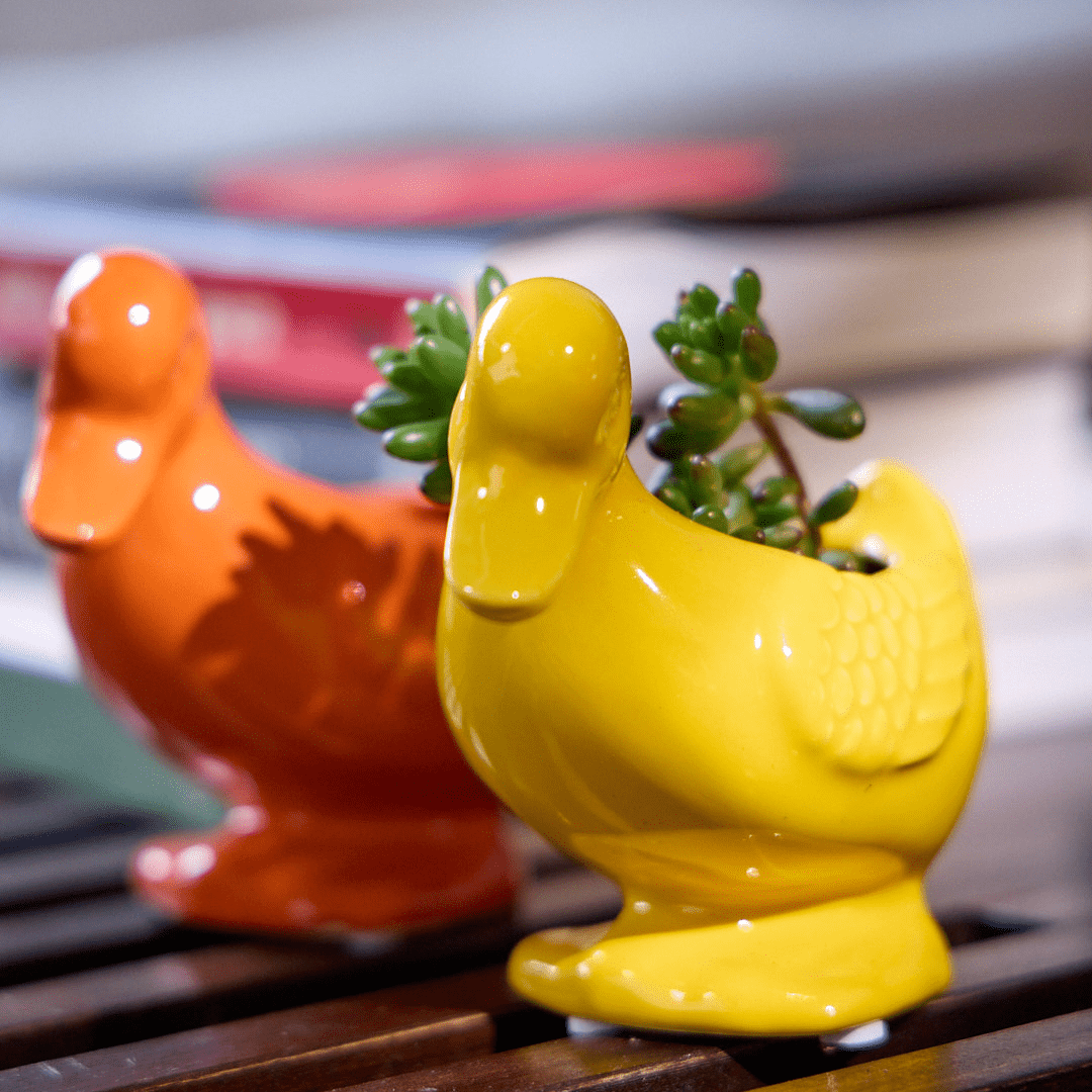 Duck Ceramic Indoor Plant Pot For Succulents - Chive Ceramics Studio - Pots - Chive US