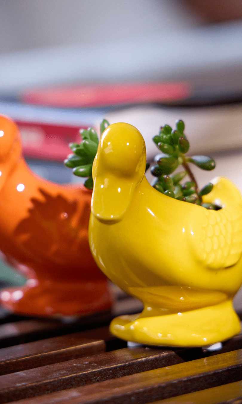 Duck Ceramic Indoor Plant Pot For Succulents - Chive Ceramics Studio - Pots - Chive US
