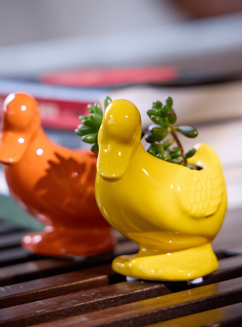 Duck Ceramic Indoor Plant Pot For Succulents - Chive Ceramics Studio - Pots - Chive US