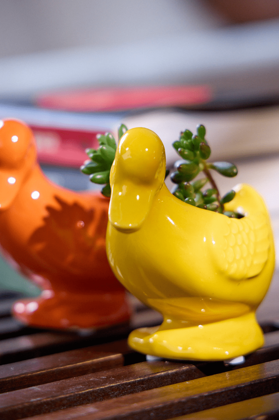 Duck Ceramic Indoor Plant Pot For Succulents - Chive Ceramics Studio - Pots - Chive US