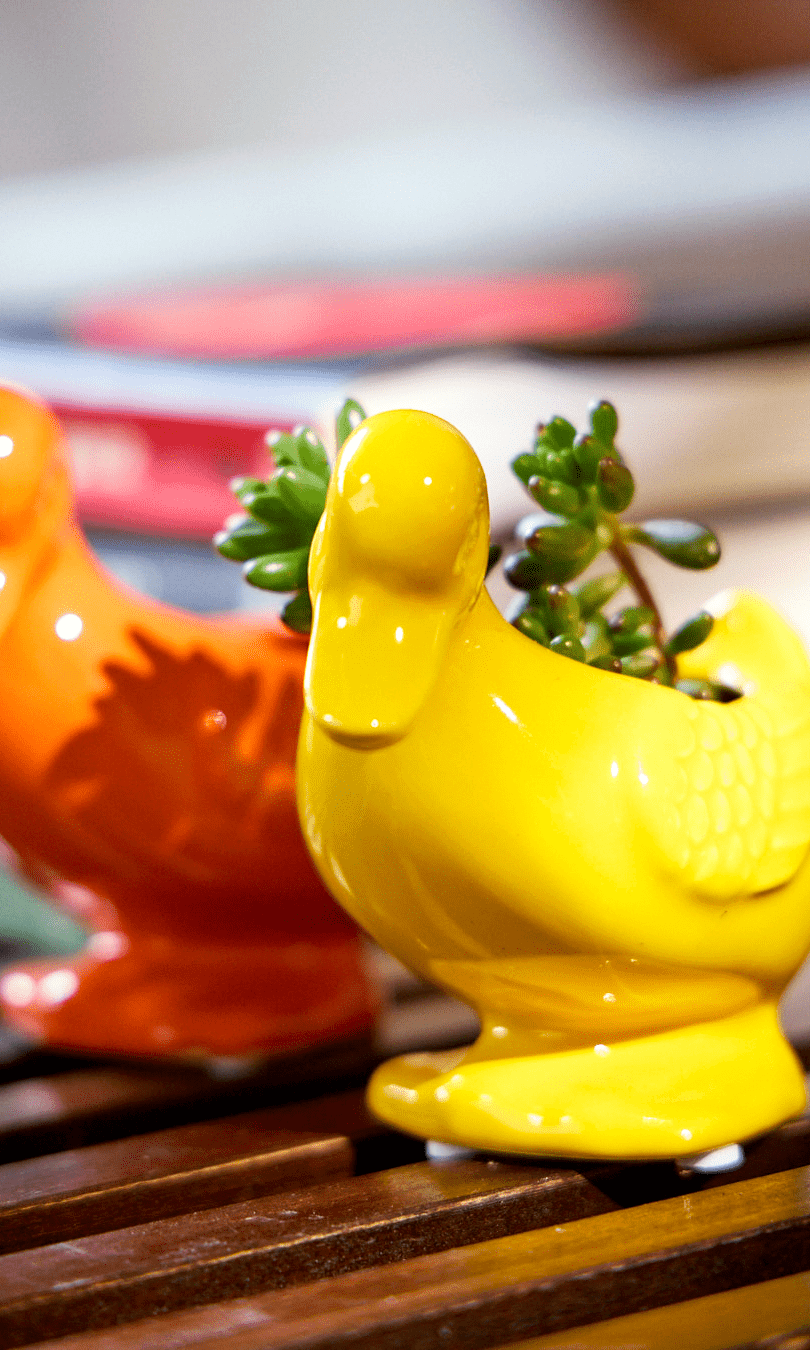 Duck Ceramic Indoor Plant Pot For Succulents - Chive Ceramics Studio - Pots - Chive US