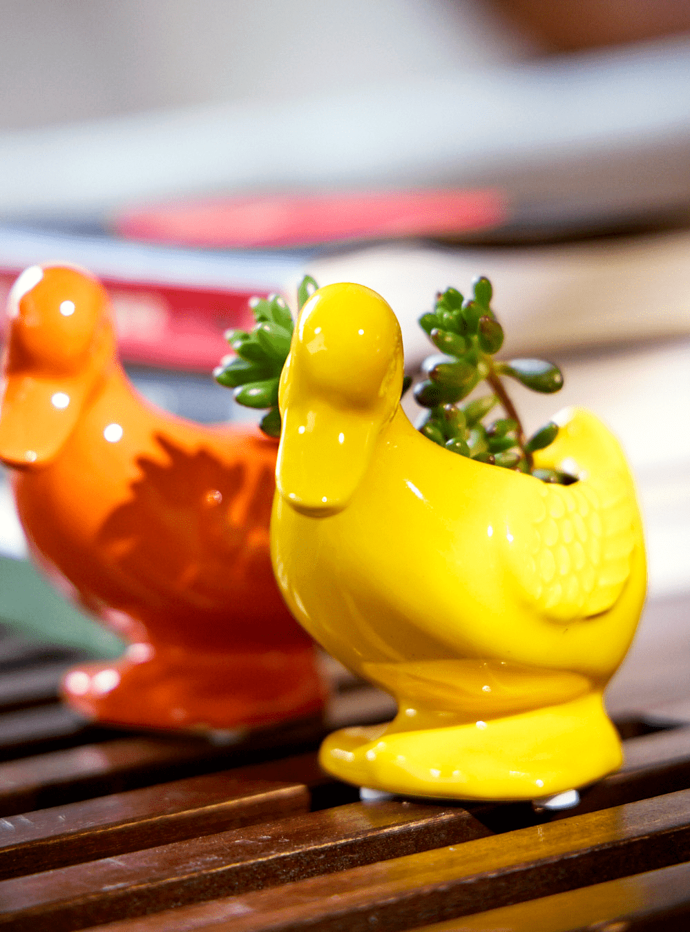 Duck Ceramic Indoor Plant Pot For Succulents - Chive Ceramics Studio - Pots - Chive US