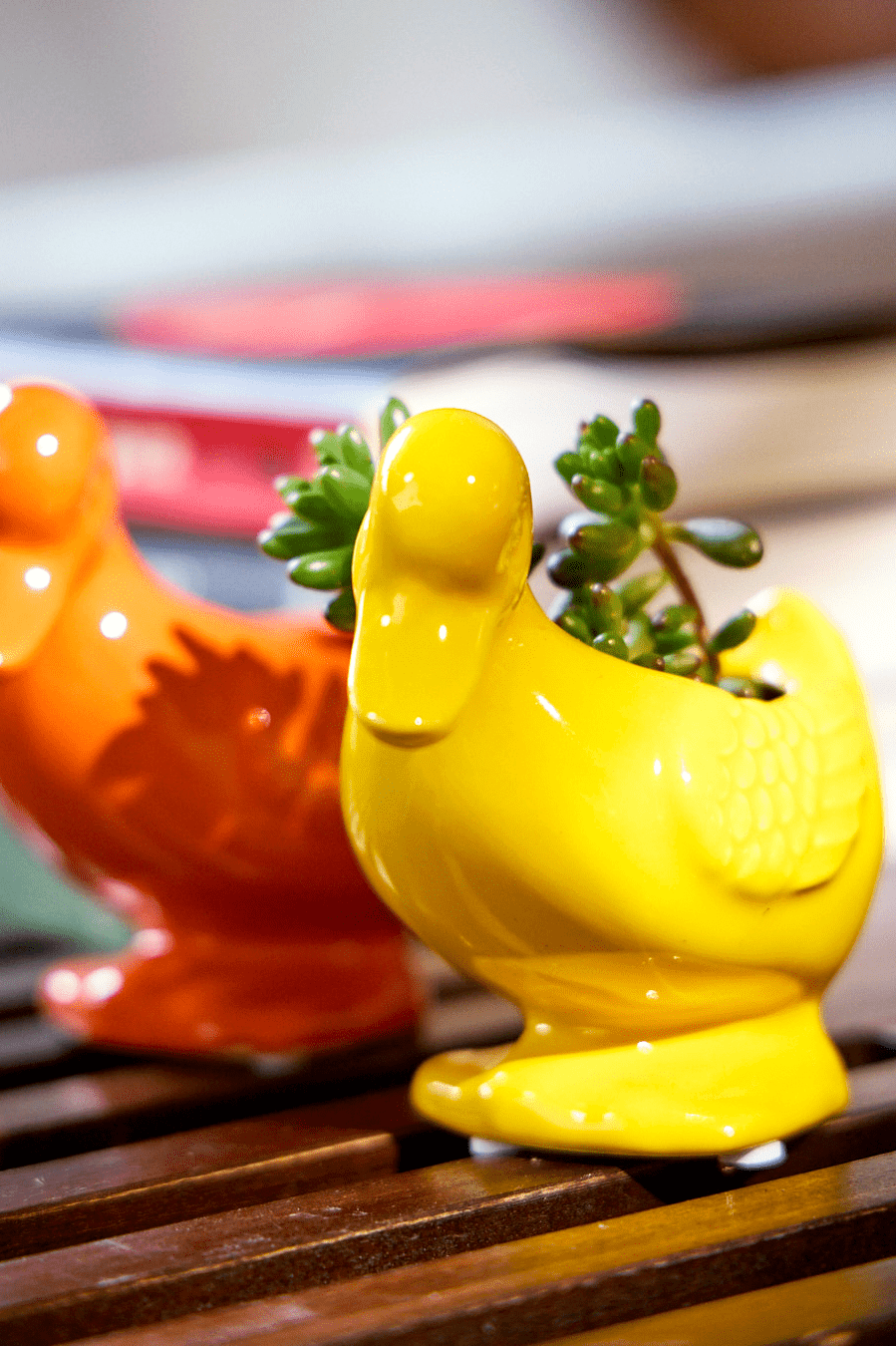 Duck Ceramic Indoor Plant Pot For Succulents - Chive Ceramics Studio - Pots - Chive US