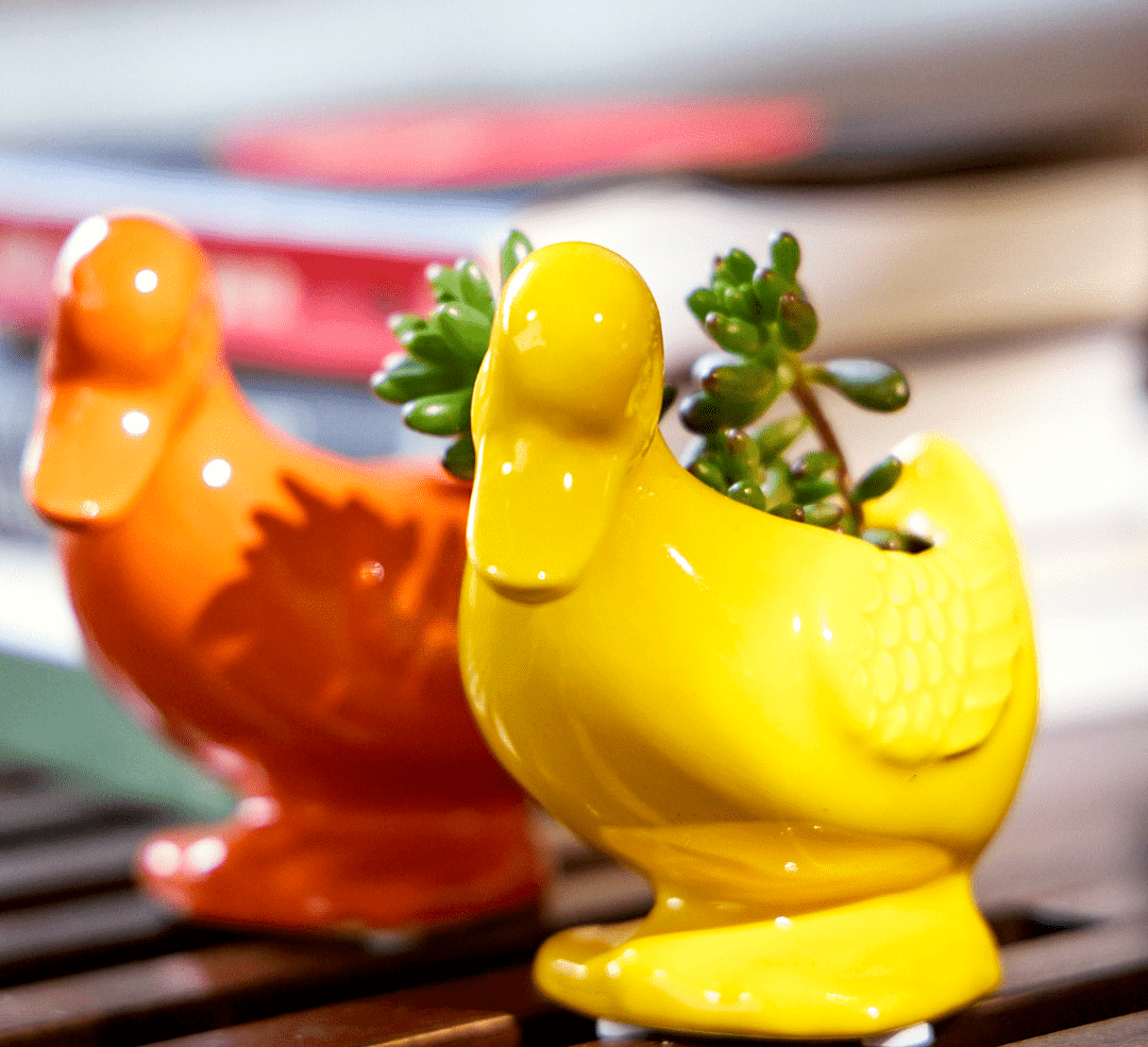 Duck Ceramic Indoor Plant Pot For Succulents - Chive Ceramics Studio - Pots - Chive US