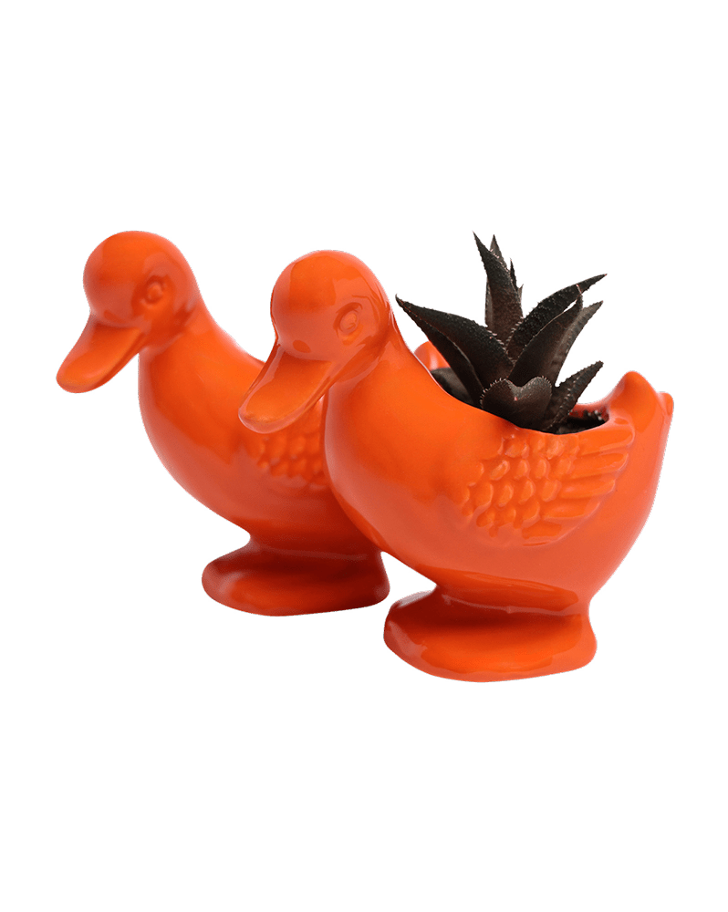 Duck Ceramic Indoor Plant Pot For Succulents - Chive Ceramics Studio - Pots - Chive US