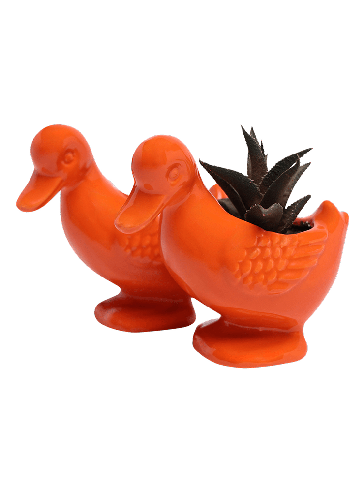 Duck Ceramic Indoor Plant Pot For Succulents - Chive Ceramics Studio - Pots - Chive US