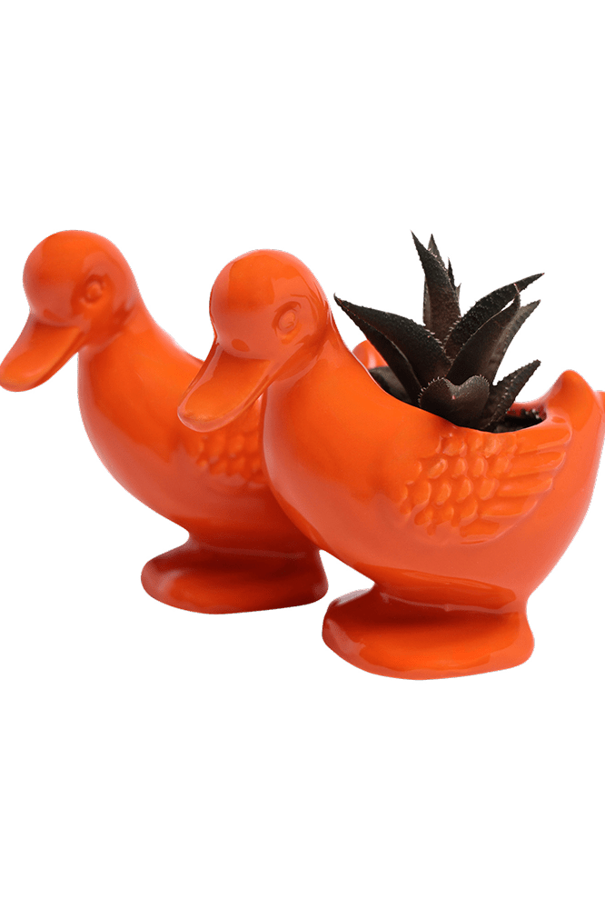 Duck Ceramic Indoor Plant Pot For Succulents - Chive Ceramics Studio - Pots - Chive US