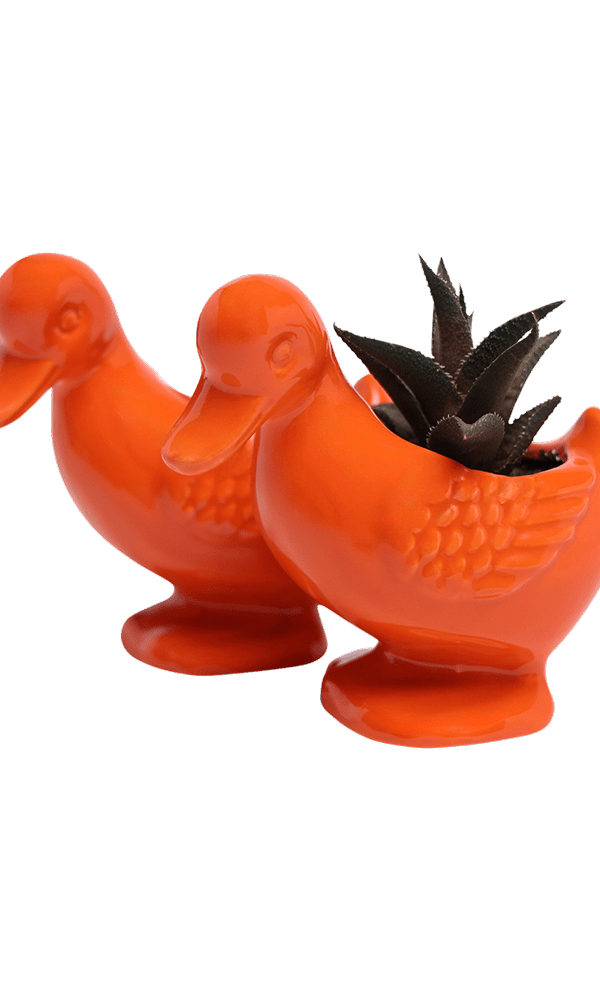 Duck Ceramic Indoor Plant Pot For Succulents - Chive Ceramics Studio - Pots - Chive US