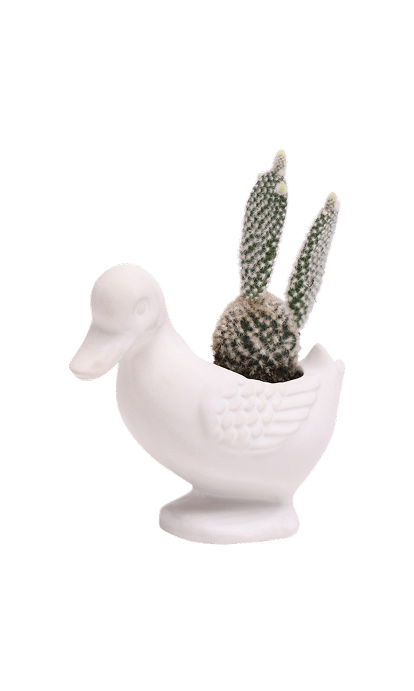 Duck Ceramic Indoor Plant Pot For Succulents - Chive Ceramics Studio - Pots - Chive US