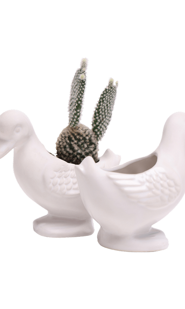 Duck Ceramic Indoor Plant Pot For Succulents - Chive Ceramics Studio - Pots - Chive US