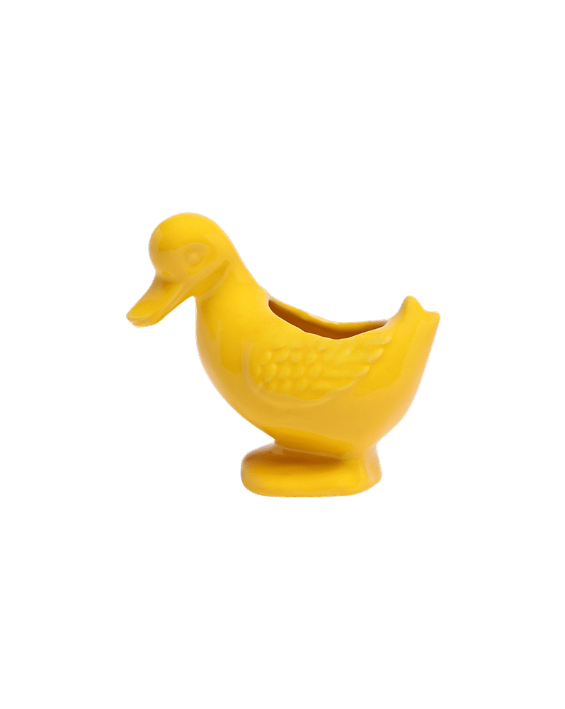 Duck Ceramic Indoor Plant Pot For Succulents - Chive Ceramics Studio - Pots - Chive US
