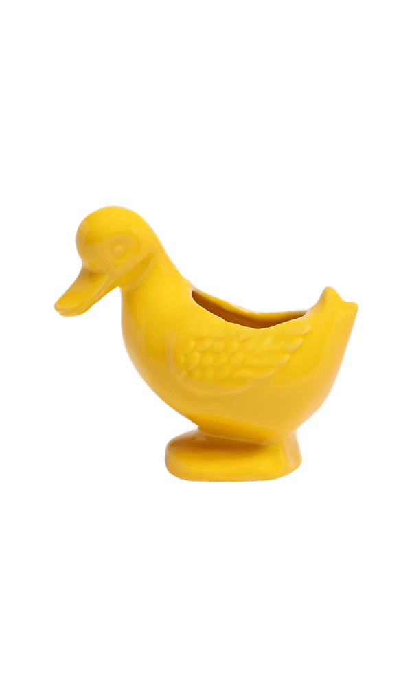 Duck Ceramic Indoor Plant Pot For Succulents - Chive Ceramics Studio - Pots - Chive US