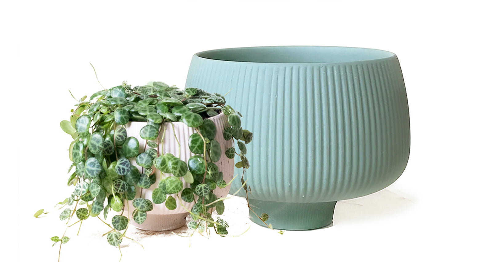 Lilo Porcelain Modern Indoor Plant Pot