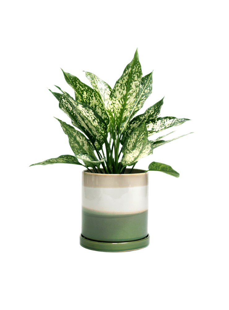 Minute Ceramic Pot And Saucer Set With Drainage - Chive Ceramics Studio - Pots - Chive Ceramics Studio