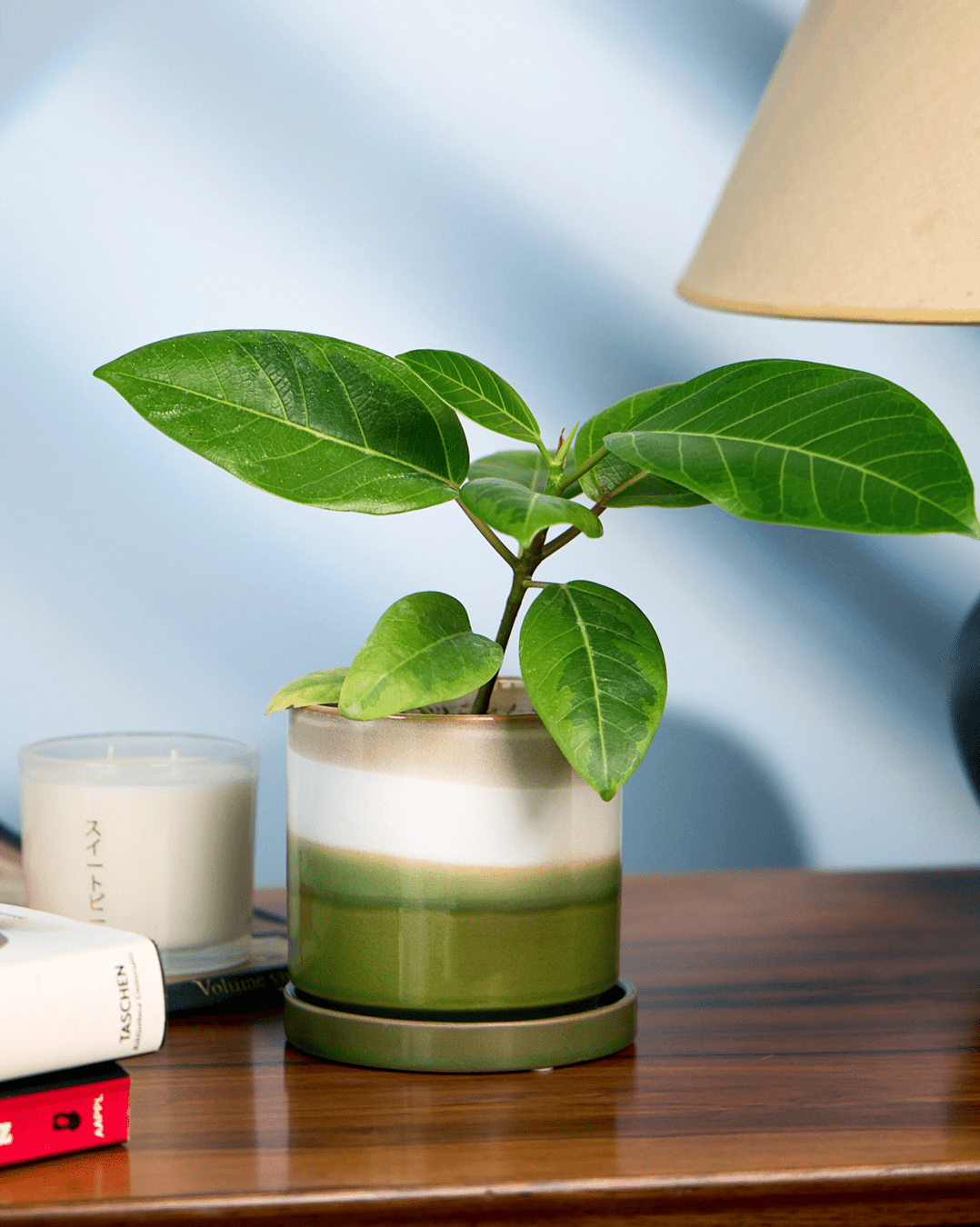 Minute Ceramic Pot And Saucer Set With Drainage - Chive Ceramics Studio - Pots - Chive Ceramics Studio