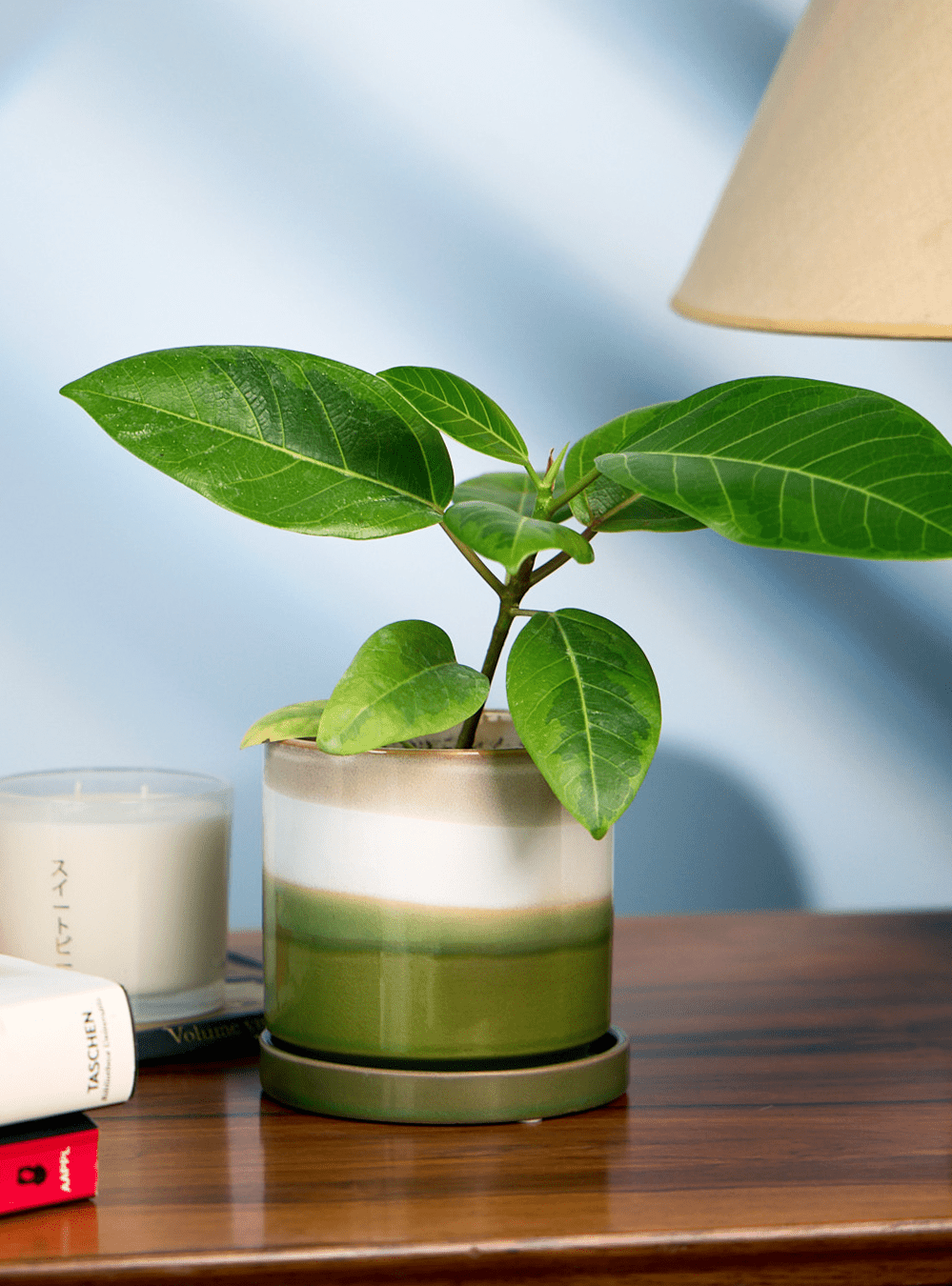 Minute Ceramic Pot And Saucer Set With Drainage - Chive Ceramics Studio - Pots - Chive Ceramics Studio