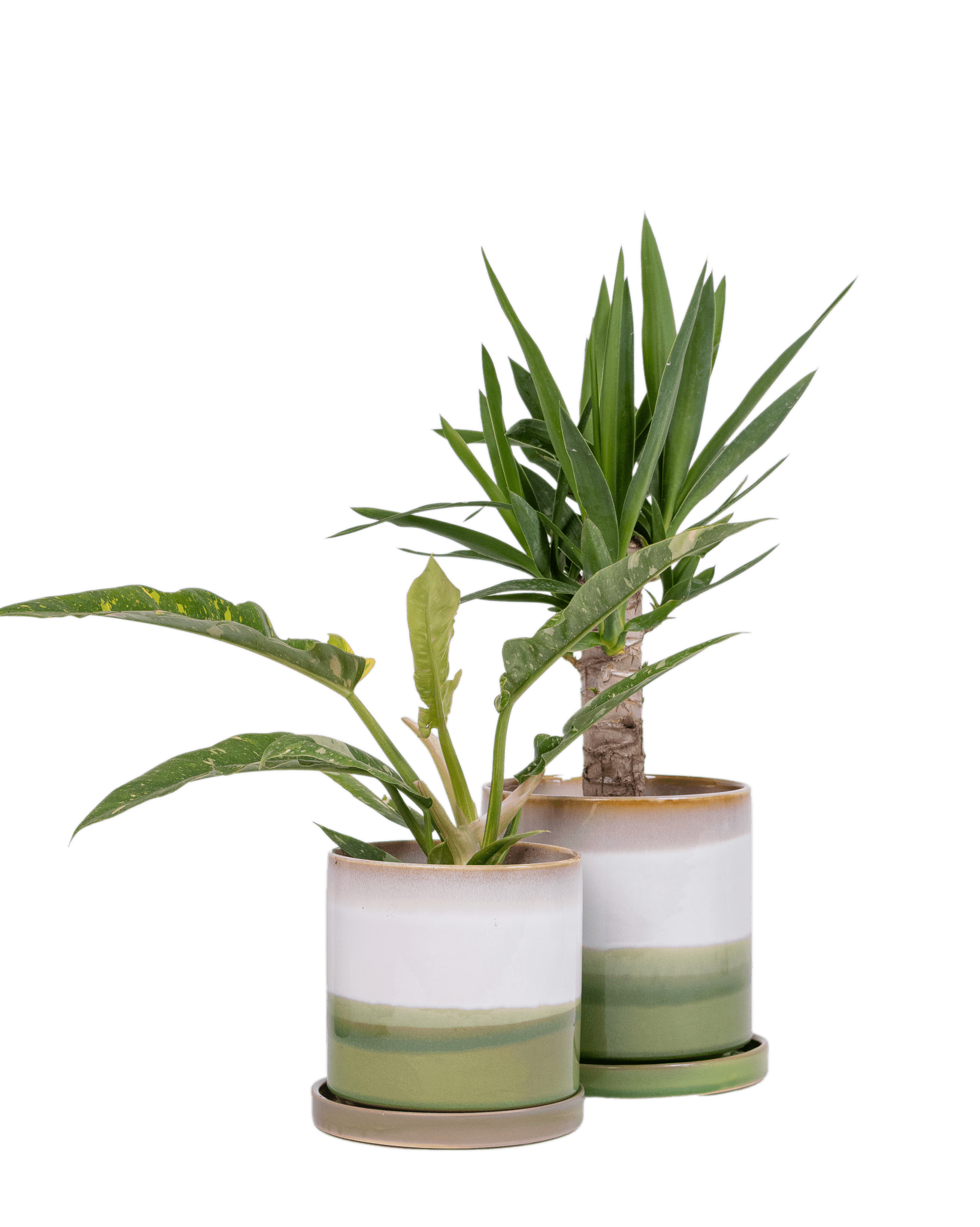 Minute Ceramic Pot And Saucer Set With Drainage - Chive Ceramics Studio - Pots - Chive Ceramics Studio