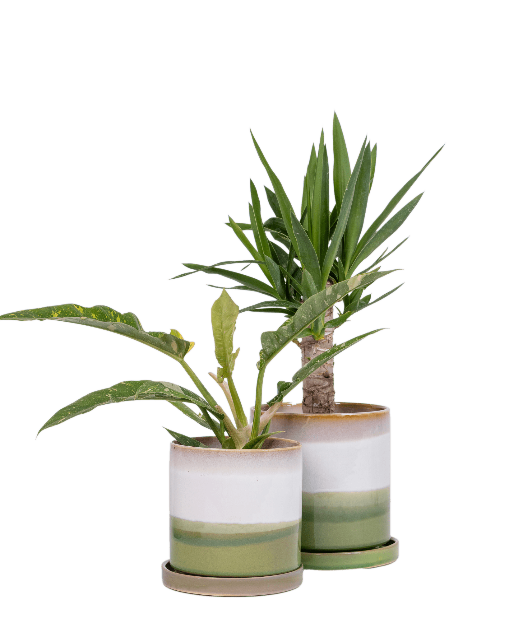 Minute Ceramic Pot And Saucer Set With Drainage - Chive Ceramics Studio - Pots - Chive Ceramics Studio