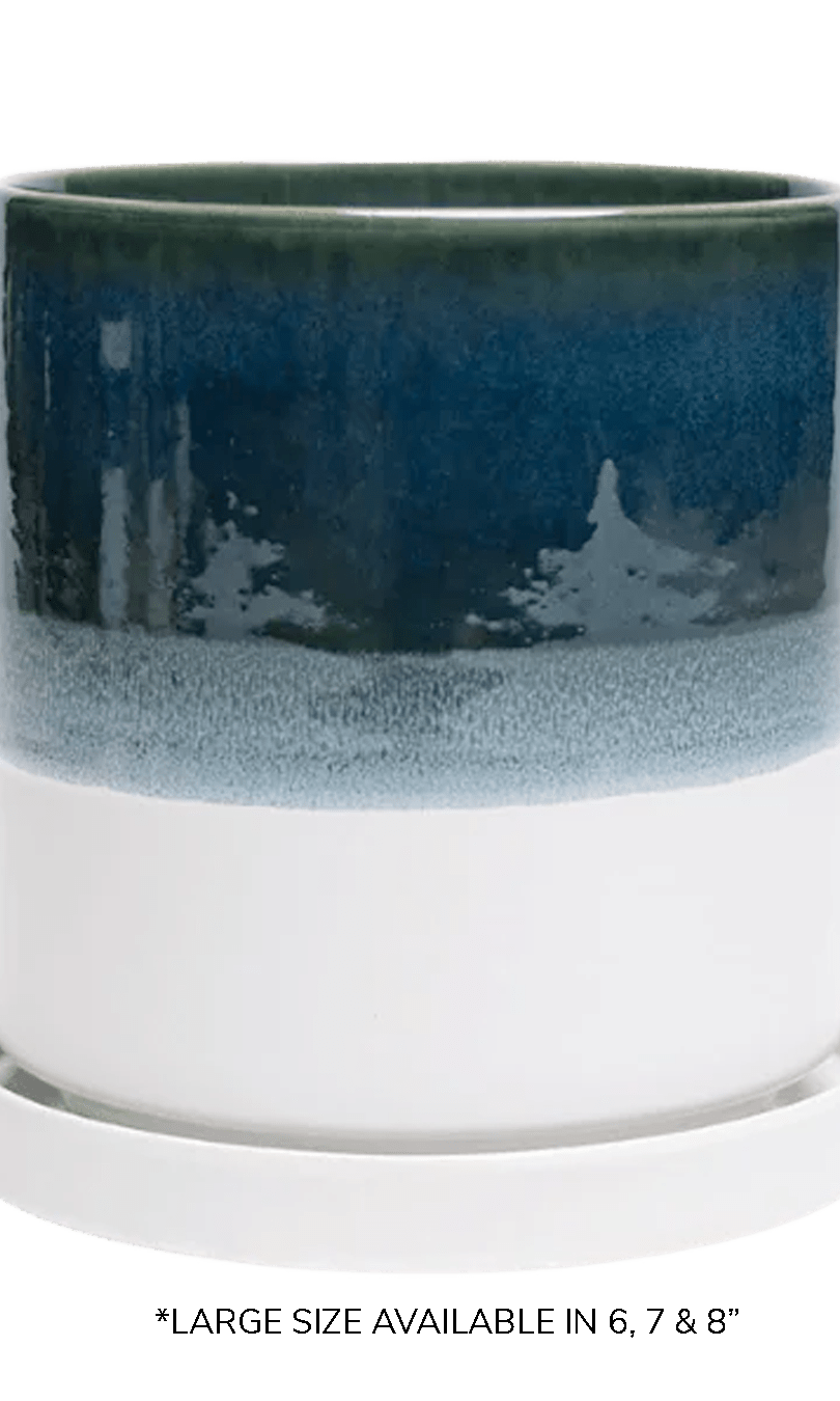 Large Minute Ceramic Pots & Saucer | 6", 7" & 8" Indoor Planter - Chive Ceramics Studio - Pots - Chive Ceramics Studio