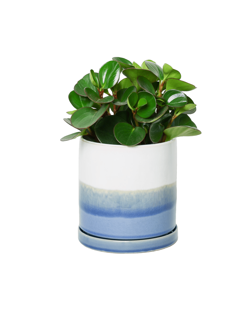 Minute Ceramic Pot And Saucer Set With Drainage | 6, 7, & 8 inch - Chive Ceramics Studio - Pots - Chive Ceramics Studio