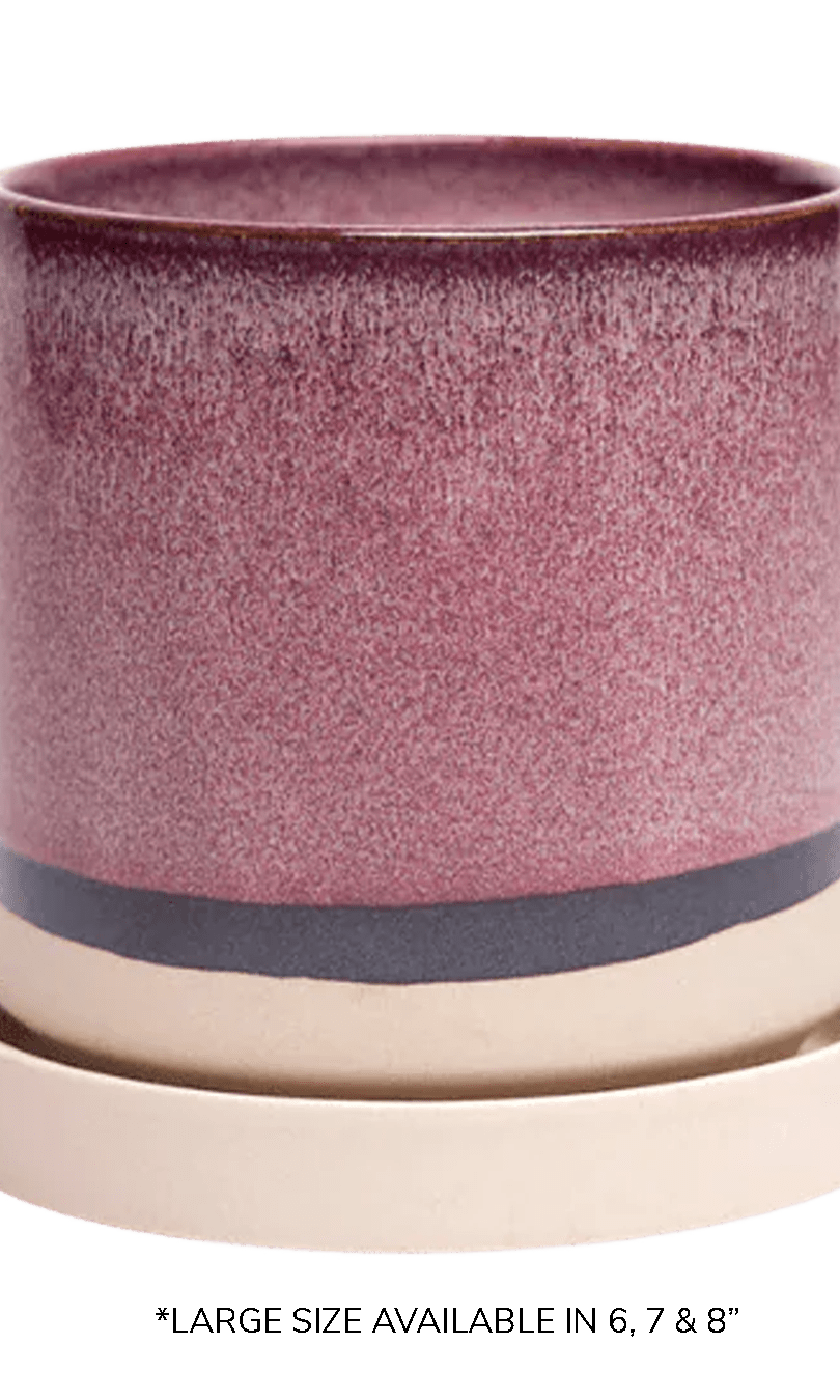 Large Minute Ceramic Pots & Saucer | 6", 7" & 8" Indoor Planter - Chive Ceramics Studio - Pots - Chive Ceramics Studio