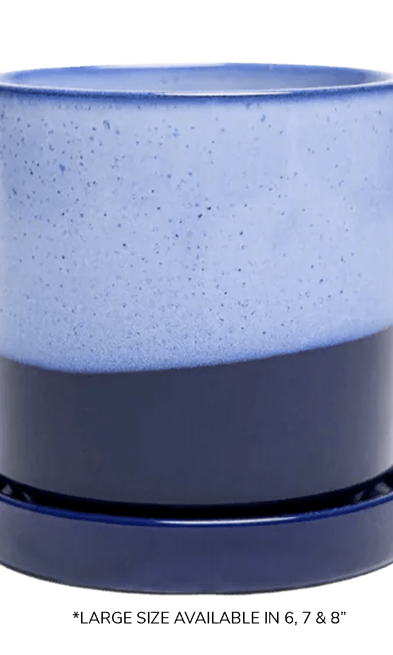 Large Minute Ceramic Pots & Saucer | 6", 7" & 8" Indoor Planter - Chive Ceramics Studio - Pots - Chive Ceramics Studio