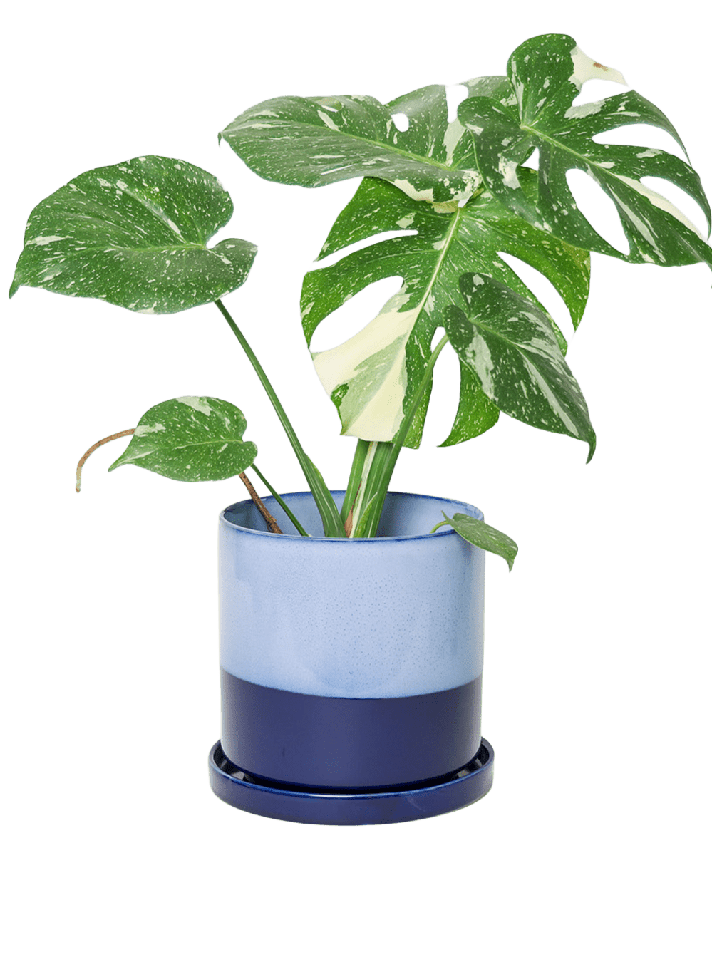 Minute Ceramic Pot And Saucer Set With Drainage | 6, 7, & 8 inch - Chive Ceramics Studio - Pots - Chive Ceramics Studio