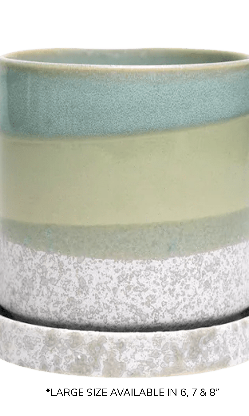 Large Minute Ceramic Pots & Saucer | 6", 7" & 8" Indoor Planter - Chive Ceramics Studio - Pots - Chive Ceramics Studio