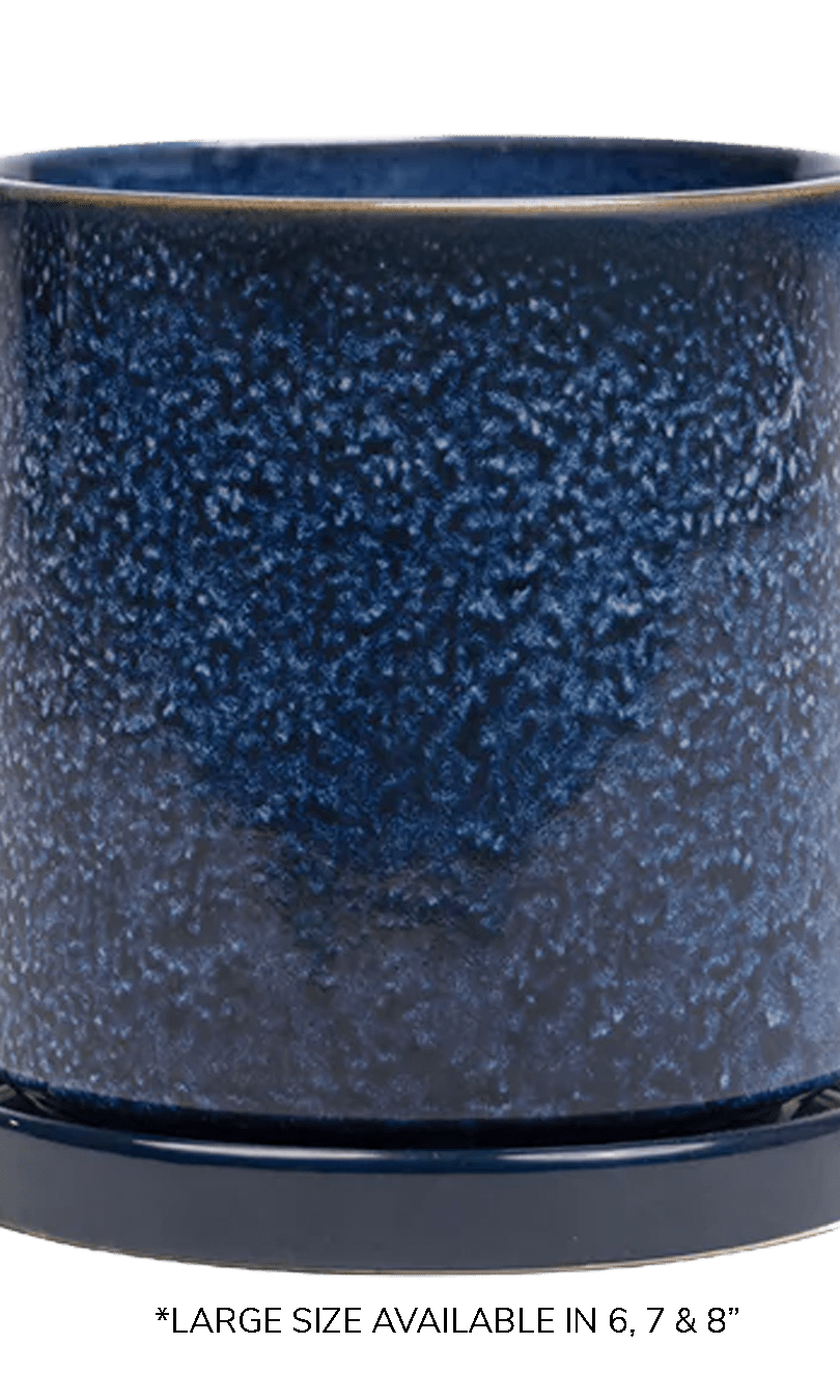 Large Minute Ceramic Pots & Saucer | 6", 7" & 8" Indoor Planter - Chive Ceramics Studio - Pots - Chive Ceramics Studio