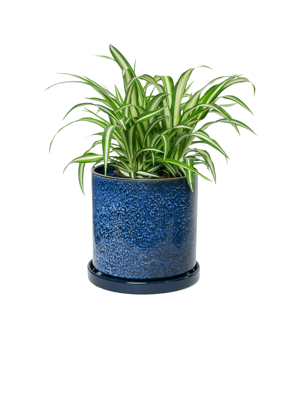 Minute Ceramic Pot And Saucer Set With Drainage | 6, 7, & 8 inch - Chive Ceramics Studio - Pots - Chive Ceramics Studio