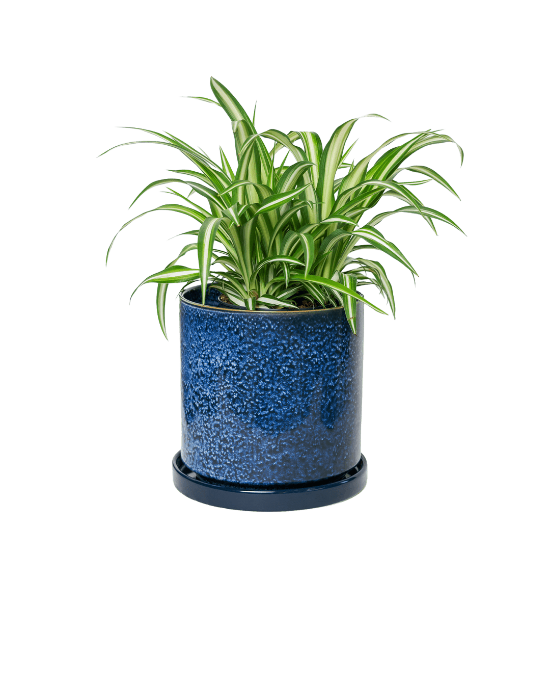 Minute Ceramic Pot And Saucer Set With Drainage | 6, 7, & 8 inch - Chive Ceramics Studio - Pots - Chive Ceramics Studio