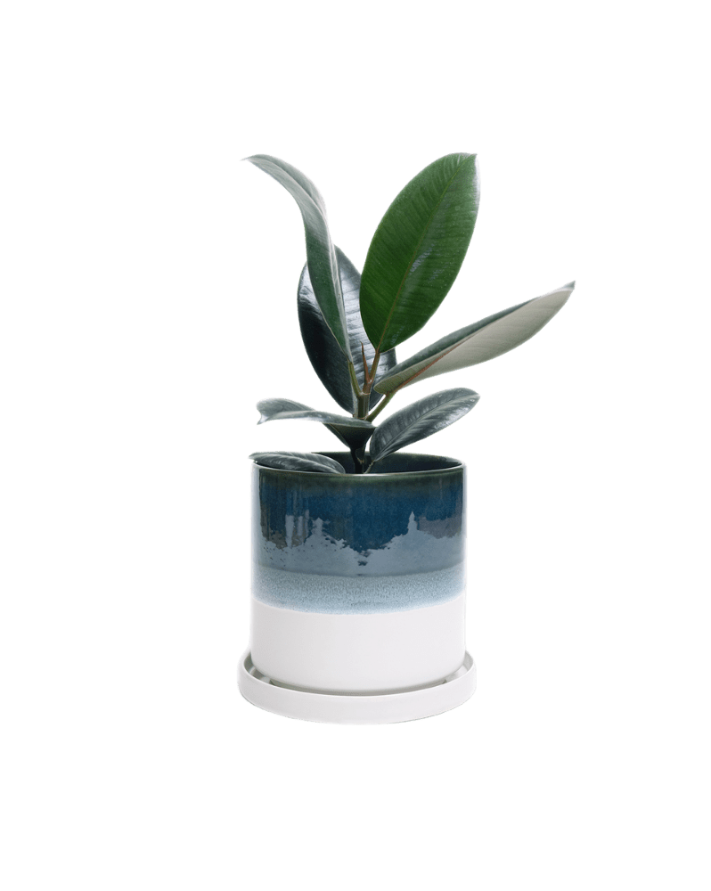 Minute Ceramic Pot And Saucer Set With Drainage - Chive Ceramics Studio - Pots - Chive Ceramics Studio