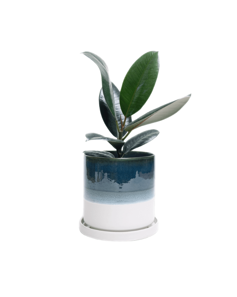 Minute Ceramic Pot And Saucer Set With Drainage - Chive Ceramics Studio - Pots - Chive Ceramics Studio