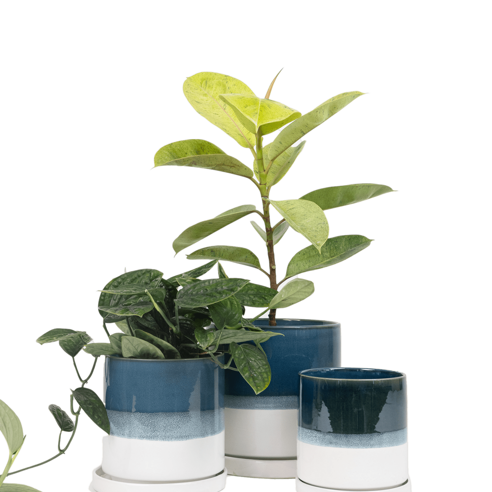 Minute Ceramic Pot And Saucer Set With Drainage - Chive Ceramics Studio - Pots - Chive Ceramics Studio