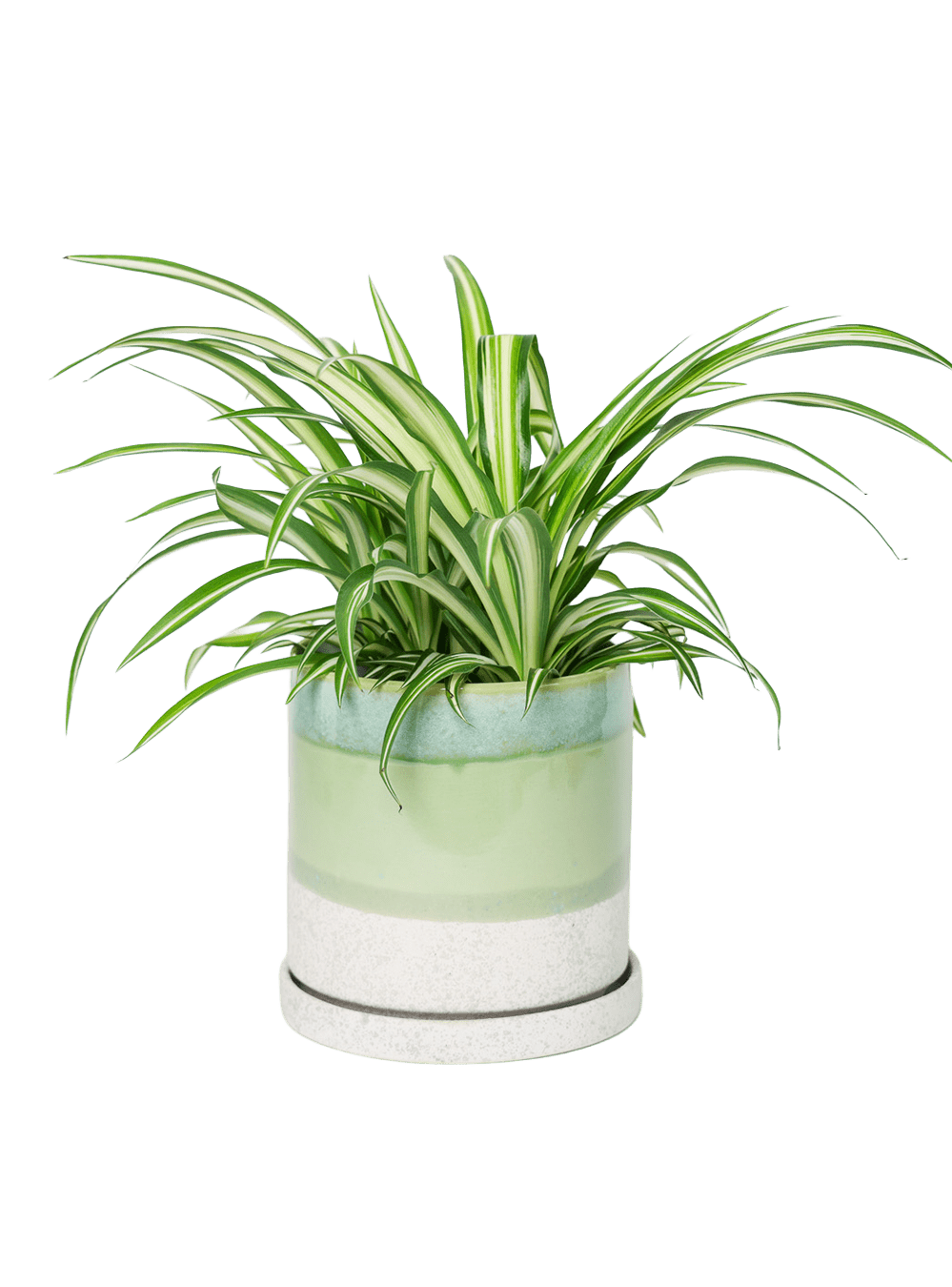 Minute Ceramic Pot And Saucer Set With Drainage | 6, 7, & 8 inch - Chive Ceramics Studio - Pots - Chive Ceramics Studio