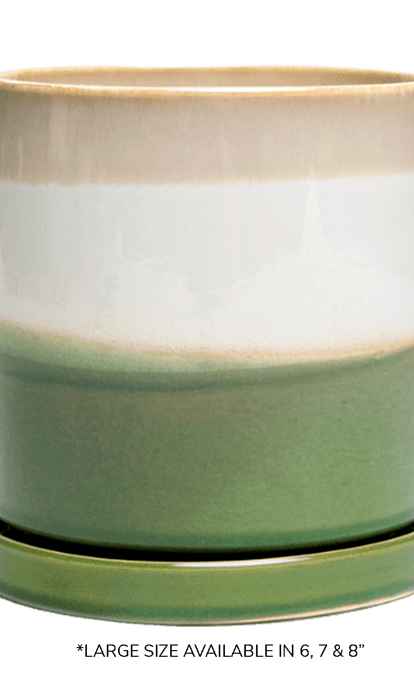 Large Minute Ceramic Pots & Saucer | 6", 7" & 8" Indoor Planter - Chive Ceramics Studio - Pots - Chive Ceramics Studio